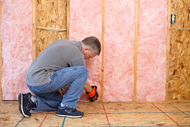 Best Basement Insulation  in Madison Heights, VA