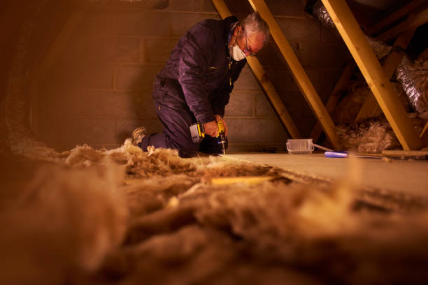 Best Crawl Space Insulation  in Madison Heights, VA