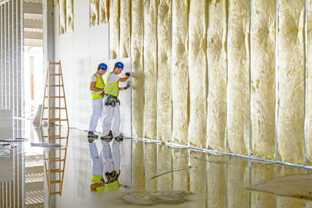 Best Spray Foam Insulation  in Madison Heights, VA